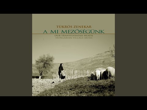 Magyarpalatkai menyasszonykísérő, csárdás és sűrű csárdás