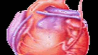 cliteater-masticating in maggots (video)