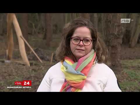 Landschleicher - Kloster Zinna - 08.01.2023 - RBB 24 - Brandenburg aktuell