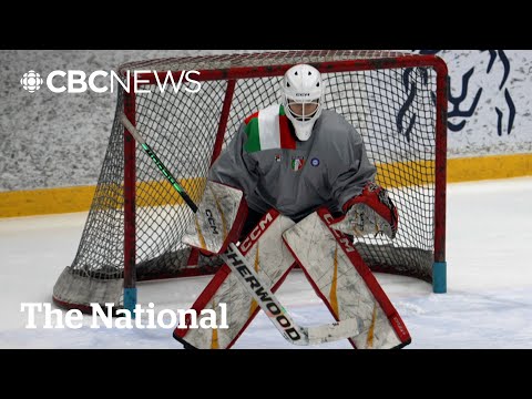 CBC News: The National and CBC News Quebec