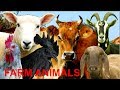 FOR KIDS 20 Different Farm Animals With Natural Sounds NO MUSIC Video For Little Children