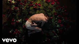 Songtext von BLANCO (Italy) - L'Isola Delle Rose Text Musik-video-Miniaturansicht