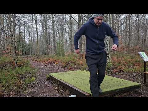 Lammhult discgolf