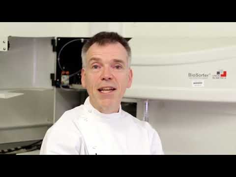 Summer Science 2022: Disease detectives