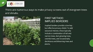Conifers and Evergreen Trees for Privacy