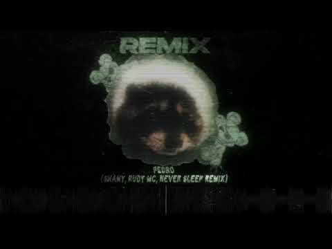 Jaxomy, Agatino Romero, Raffaella Carrà - PEDRO (Shany, Rudy MC, Never Sleep Remix)