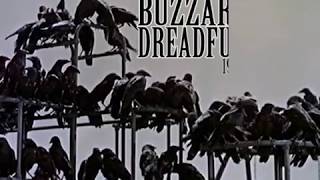 Guided By Voices - Buzzards and Dreadful Crows [PCB video]