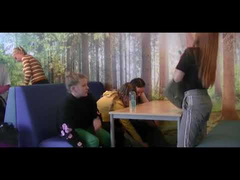 Dollard College Bellingwolde film