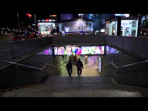 5/55 PARTY & BULLSHIT