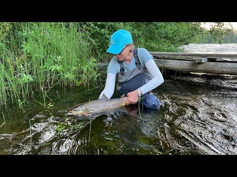 World Class Flyfishing in Finland BrownTroutLand