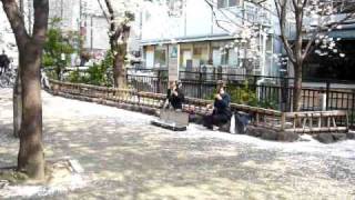 preview picture of video 'Shirakawa Dori, Kyoto'