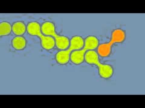 Galactic - Ruckus - Hoss