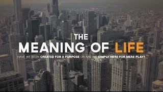 The Meaning of Life