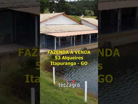 🌱 53 ALQUEIRES EM ITAPURANGA #fazenda #tec2agro