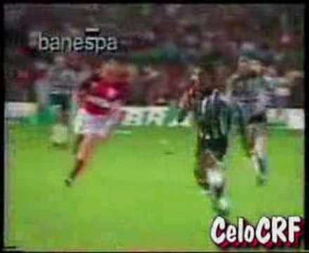 Silvio Luiz: "Pelas barbas do profeta, Ely Coimbra!!!!"