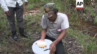 Hunting for wild honey in Cambodia's forests