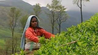 Estación de la colina Munnar en Idukki 