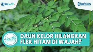 Bisakah Daun Kelor Hilangkan Flek Hitam di Wajah? Begini Cara Pakai agar Kulit Wajah Bersih