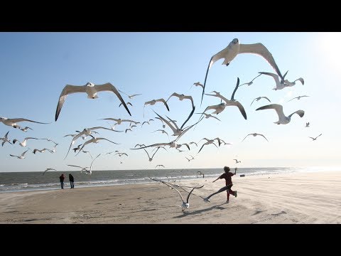 Johan Vilborg - Altara (Andrew Benson Remix) [Silk Music]