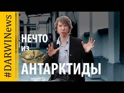 Мозазавры откладывали яйца. Ярослав Попов #DARWINews