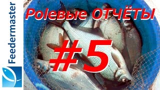 Зимний фидер на реке москва