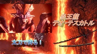 【MHW】テオ・テスカトル 太刀ソロ