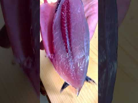 A phantom fish! Yaito Gatsuo's Tosa Tataki #shorts #bonito #sashimi