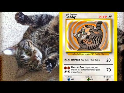 ペットをポケモンにしよう-- ゲームLÜT (Make your Pet a Pokémon! -- Game LÜT)