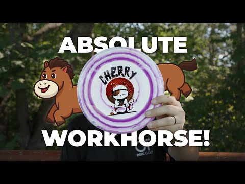 Clash’s Workhorse Midrange | Clash Cherry Review