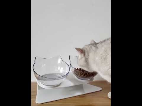 Raised Cat Bowl