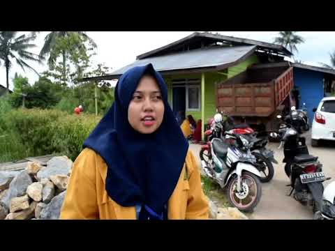 Cara yang efektif untuk forum potensi Jet berang-berang dan potensi ulasan