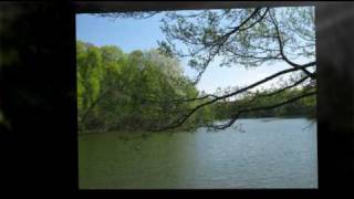 Download lagu サンサーンス：白鳥 mp3