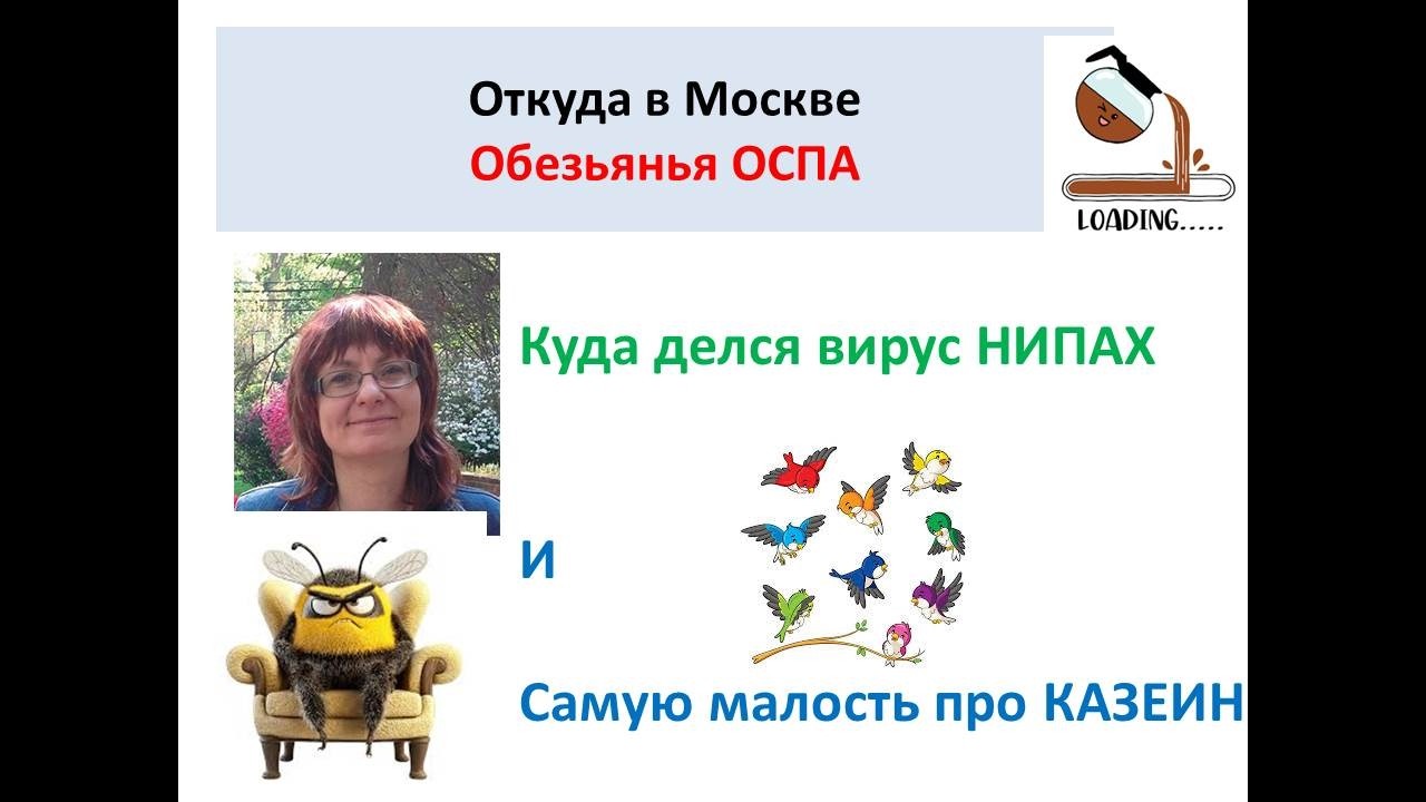 ООСПА (Обезьян) в России, КАК ИСЧЕЗ НИПАХ
