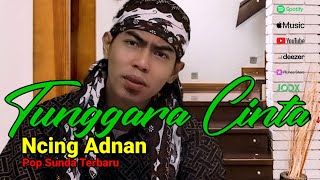 Download lagu Tunggara Cinta - Ncing Adnan mp3