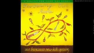 Bedlam Rovers - Wishing Well (from Devouring Our Roots)