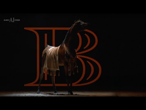 ALJASSIMYA FARM - Achievements, 2022 KIAHF