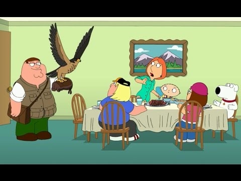 Family Guy - Peter Gets a Falcon| Le Hong