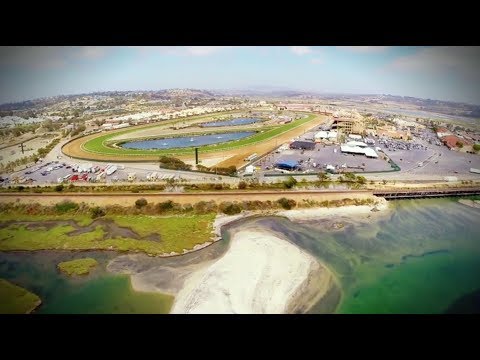 2017 Breeders' Cup World Championship at Del Mar
