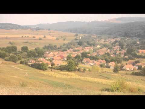 Cum ii impartit Feleagul