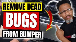 Removing Dead Bugs From Car Front Bumper (FAST)