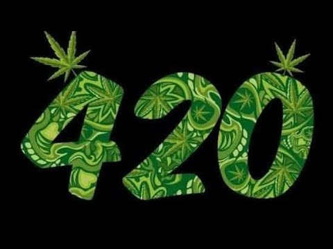 Mischief maykahs - Wasted