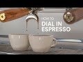 How to Dial In Espresso | Basic Coffee Skills