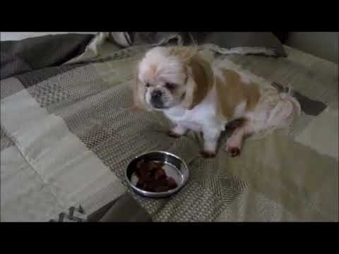 July 28, 2013 Shanay birthday