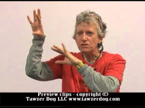 download lagu mp3 mp4 Sue Sternberg, download mp3 Sue Sternberg free download mp3, download mp3 Sue Sternberg