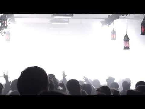 TACO @ Wander Zirkus 3000grad Festival 2019