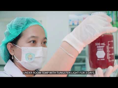 ASTAXANTHIN OVERNIGHT MASK CREAM