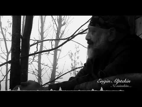 Engin ALPTEKİN - Ne mümkün...