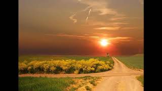 Rick Vito   The Ways Of Sin