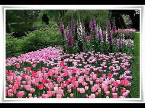 I HAVE A DREAM-westlife and sherina (by mhy2011)