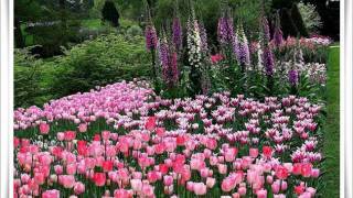 Download lagu I HAVE A DREAM-westlife and sherina (by mhy2011) mp3